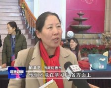 翟清芝參加淄博市政協(xié)十二屆三次會(huì)議