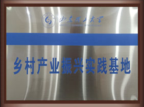 山東理工大學(xué)實(shí)踐基地